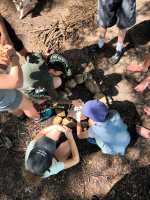 batch_IMG_20250605_103038