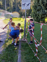 batch_20250915_145600
