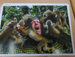 batch_IMG_20251216_084929