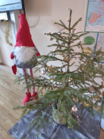 batch_IMG_20251215_091829