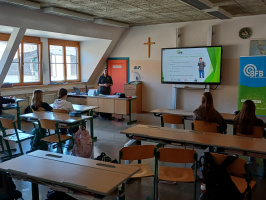 batch_20260203_115411