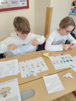 batch_IMG_20260428_095349