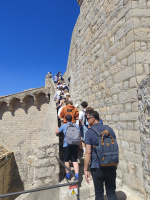 batch_IMG_20260503_105428
