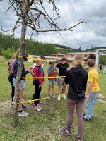 batch_image00041