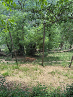 batch_image00066