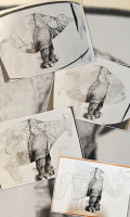 batch_InCollage_20260629_191630702